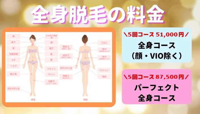 湘南美容クリニック全身脱毛