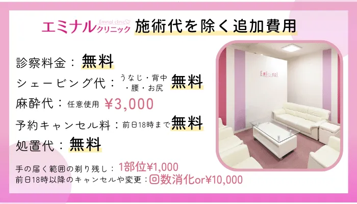 エミナルクリニック施術代を除く追加費用