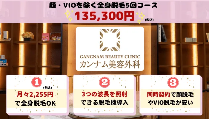 ンナム美容外科全身比較