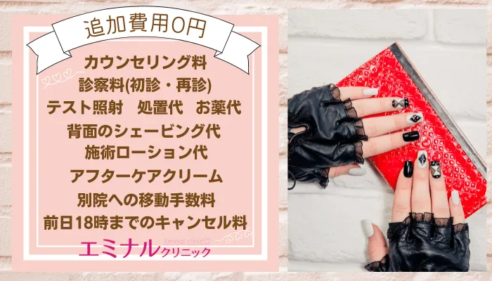 エミナルクリニック追加費用仙台