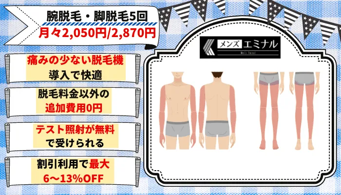 ンズエミナル腕・脚脱毛