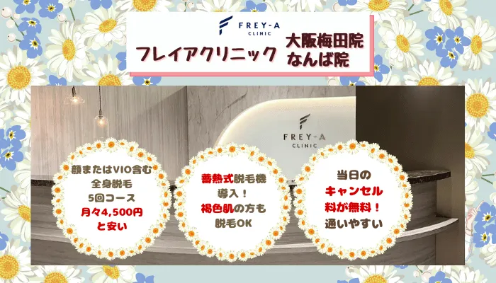 フレイアクリニック大阪比較