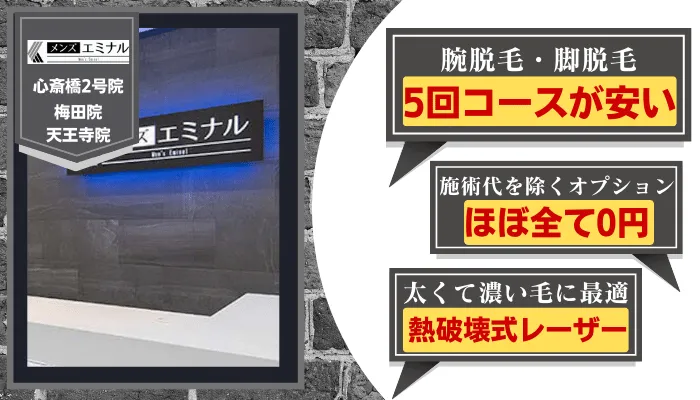 メンズエミナル大阪比較腕・脚