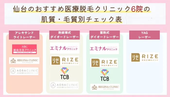 仙台学生肌質毛質別チェック表