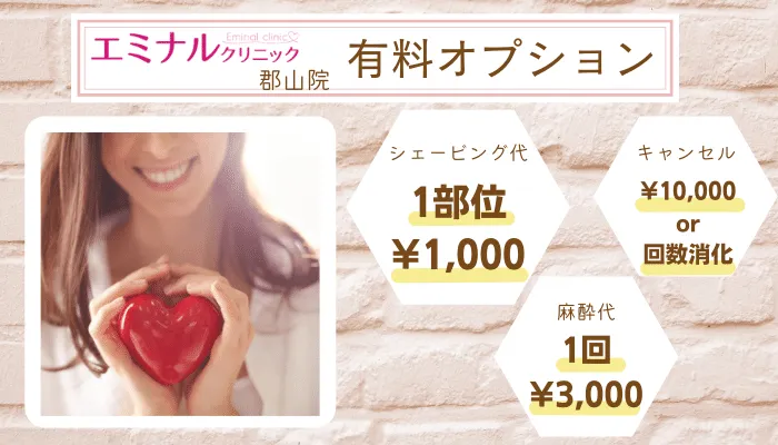 エミナルクリニック郡山有料のオプション