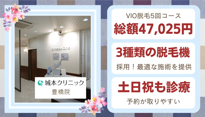 城本クリニック豊橋比較VIO