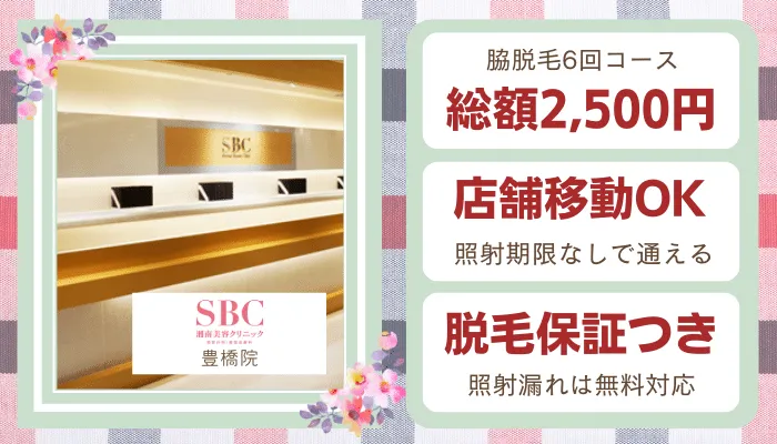 湘南美容クリニック豊橋比較脇