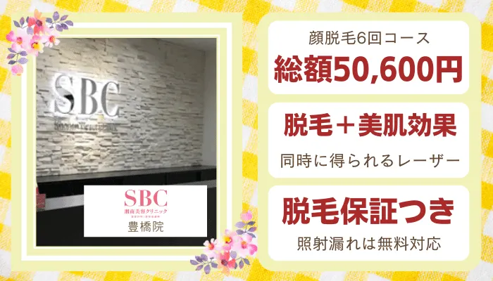 湘南美容クリニック豊橋比較顔