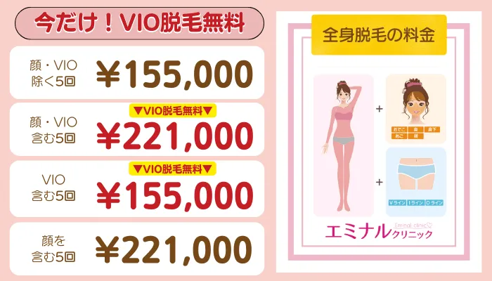 エミナルクリニック全身脱毛料金B地域