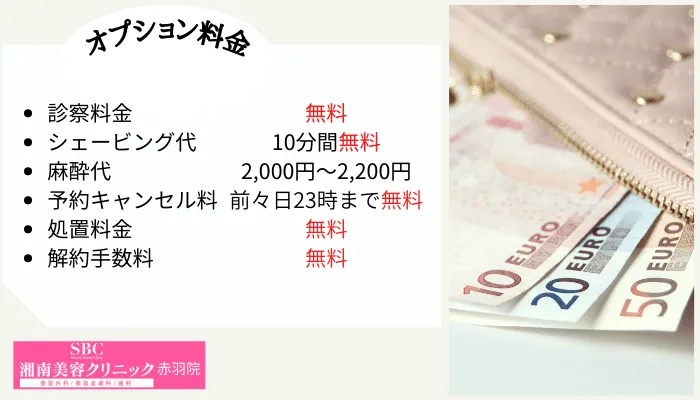医療脱毛 赤羽湘南美容クリニック赤羽院オプション料金
