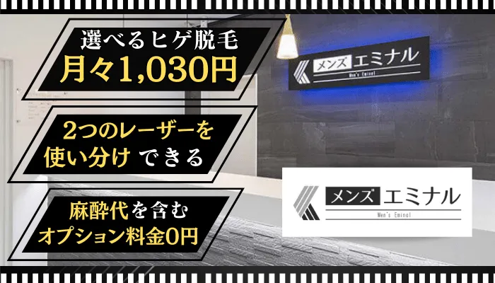 メンズエミナル比較