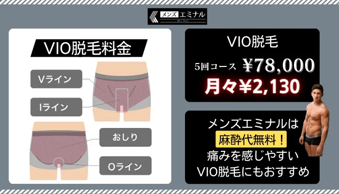メンズエミナルデビュープランVIO脱毛料金