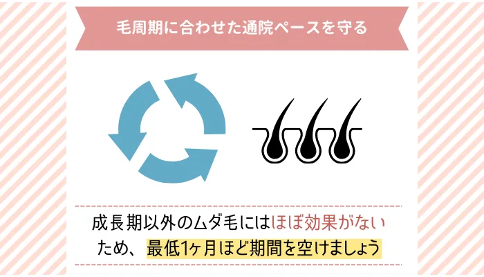 毛周期に合わせた通院ペースを守る