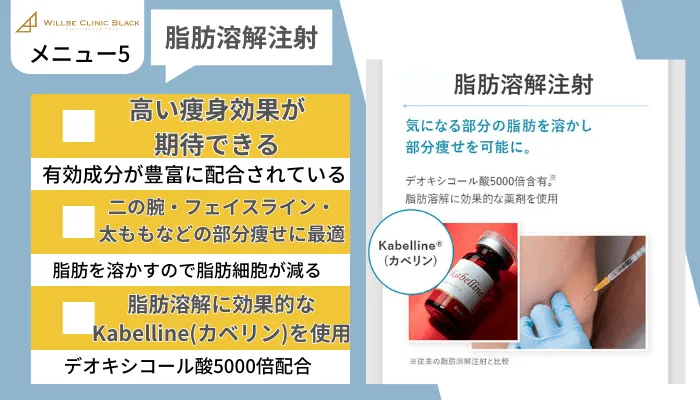 ウィルビークリニックブラック医療痩身メニュー5