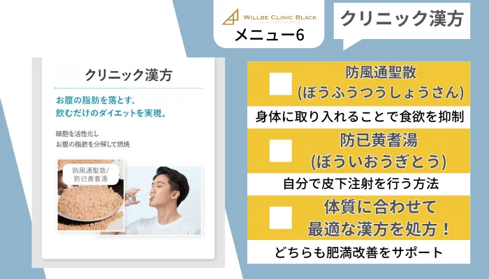 ウィルビークリニックブラック医療痩身メニュー6