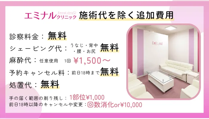 エミナルクリニック施術代を除く追加費用
