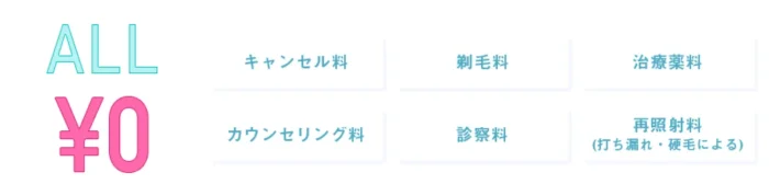 リゼクリニックの追加費用