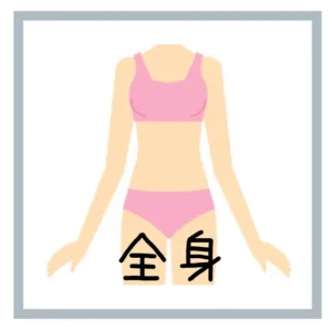 全身