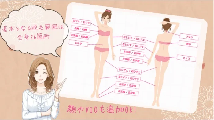 レジーナクリニック神戸三宮院脱毛範囲