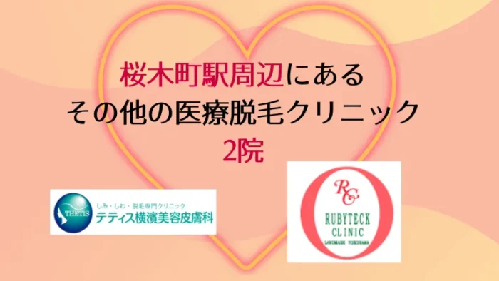 桜木町駅周辺にあるその他の医療脱毛クリニック2院