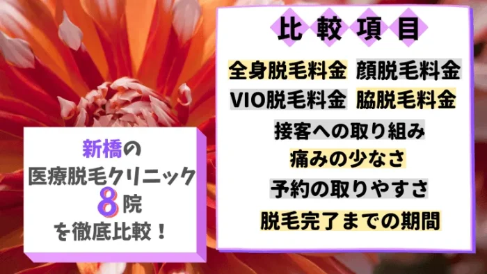 新橋の医療脱毛クリニック8院を徹底比較！