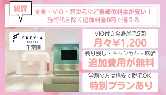 フレイアクリニック千葉総評